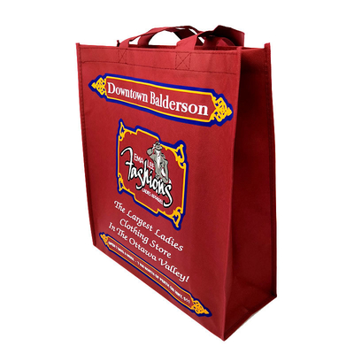 Non Woven Bag for Food Packaging and Eco-Friendly Material