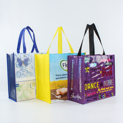 Customized Non Woven Reusable Tote Shopping Bag with Logo Portable Carrier