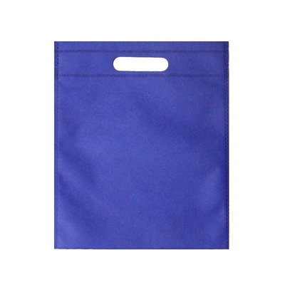 Reusable D Cut Non-Woven Fabric Bag for Custom Hoes Direct from Recyclable