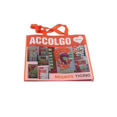 Large Capacity Non-woven Shopping Bag with Eco-friendly Material and Custom Printing